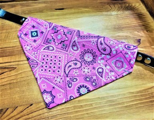 Pink Paisley Dog Bandana