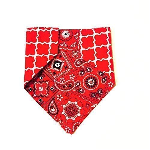 Red Paisley Pet Bandana No-Tie Design