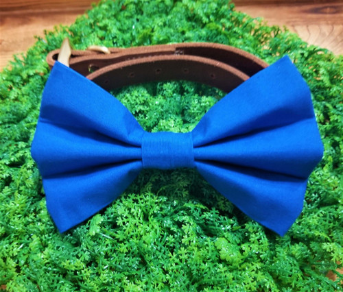 Solid blue handmade pet bow tie with double elastic loops for dog collar attachment