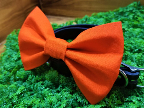 Solid orange handmade pet bow tie with double elastic loops for dog collar attachment