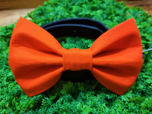 Solid orange handmade pet bow tie with double elastic loops for dog collar attachment