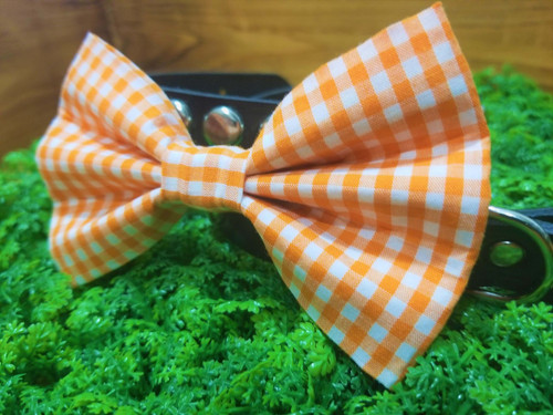 Orange Gingham handmade pet bow tie with double elastic loops for dog collar attachment