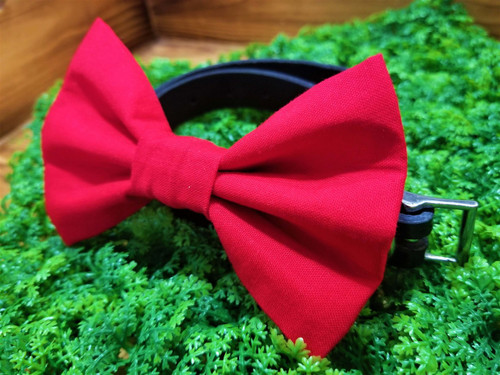 Solid red handmade pet bow tie with double elastic loops for dog collar attachment