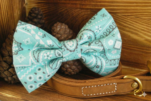 Teal Paisley handmade pet bow tie with double elastic loops for dog collar attachment