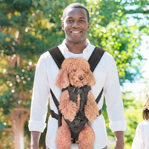 Adjustable Front Dog Carrier Backpack