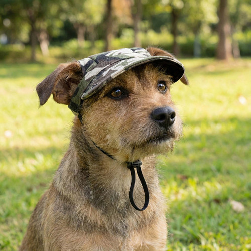 Small terrier dog wearing a camouflage flat brim cadet hat with an adjustable black toggle chin strap.