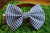 Dark Blue Gingham handmade pet bow tie with double elastic loops for dog collar attachment