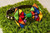 Rainbow Diamond handmade pet bow tie with double elastic loops for dog collar attachment