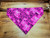 Pink Bow Dog Bandana