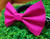 Pink Pet Bow Tie