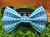 Blue Gingham handmade pet bow tie with double elastic loops for dog collar attachment