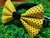 Yellow w/ Black Polka Dots handmade pet bow tie with double elastic loops for dog collar attachment