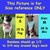 Small and Medium slip-on dog bandanas shown on dog, ideal size for Pugs, Terriers, Spaniels, and Beagles.