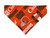 Cleveland Browns Pattern Pet Bandana No-Tie Design