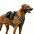 Tactical Dog Harness | Heavy Duty Military-Grade K9 Vest