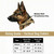 Sizing guide infographic for tactical dog collars, showing a dog head illustration with a tape measure around its neck and a chart listing neck sizes in inches and centimeters for Medium, Large, and X-Large collars