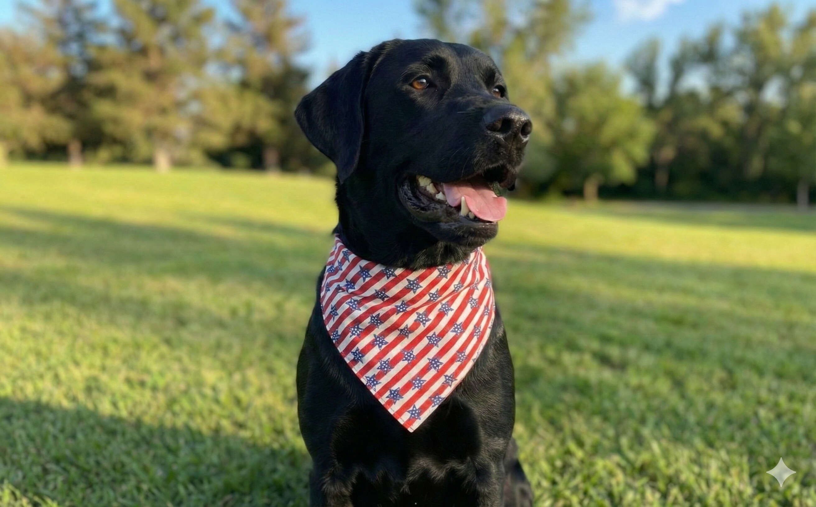 Bandanas
