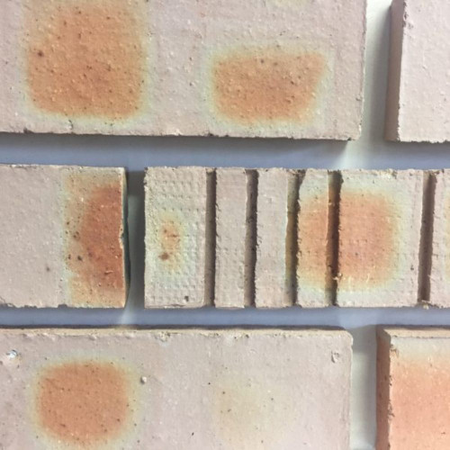 Common Brick (Pack 452)