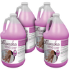 ABS1-4G