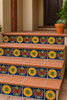 Fiesta Garden Tile decorating terracotta stair risers in a rustic entryway with potted plants Fiesta Garden Tile decorating terracotta stair risers in a rustic entryway with potted plants