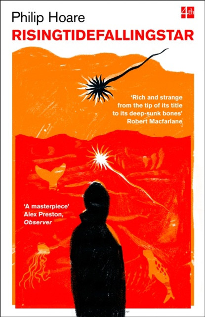 Rising Tide Falling Star By Philip Hoare Vibes Scribes