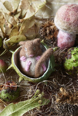 The Natural World Of Needle Felting: Learn How to Make More than 20 Adorable Animals by Fi Oberon