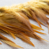 Feather Trim: Ombre Duo-Coloured - Per ¼ Metre