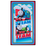 Steam Team Express - 100% Cotton - PER PANEL