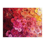 Double Sided Puzzle (500pcs) - Cut Flower Garden