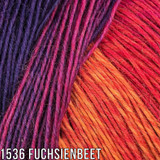 Schoppel Wolle Zauberball 3 Ply - 100g