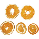 Orange Slices (5pcs)