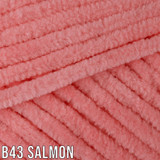 B43 Salmon