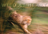 Wild at Heart: Man and Beast in Southern Africa by Chris Johns