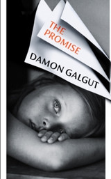 The Promise by Damon Galgut TPB