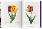 Redout. The Book of Flowers. 40th Ed.