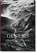 Genesis by Lelia Wanick Salgado