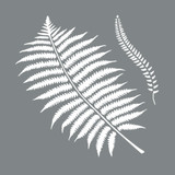 Stencil (2pk) - Botanic