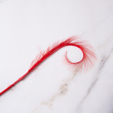 Feather (2pk) - Pheasant Curl