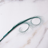 Feather (2pk) - Pheasant Curl