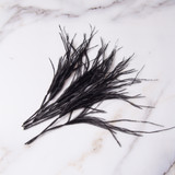 Feather Pack (12pc) - Narrow Ostrich Plumes