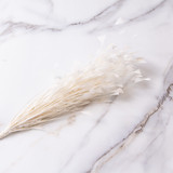 Feather Mount - Cock