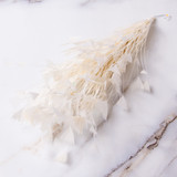 Feather Mount - Cock