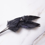 Ostrich Arrow Quill