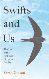 Swifts and Us by Sarah Gibson