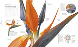 Flora: Inside the Secret World of Plants by DK