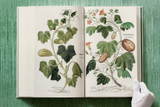 Leonhart Fuchs. The New Herbal by Werner Dressendoerfer