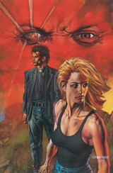 Preacher: Book 4 by Garth Ennis