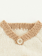 Squirrel Sweater in Sirdar Snuggly DK (5428) - PDF