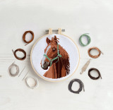 Cross Stitch Kit - Horse