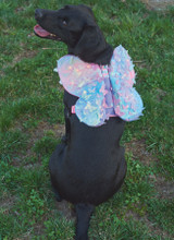 Dog Harness w/Wings in Simplicity (S9875)